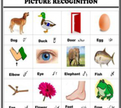 LND PICTURE RECOGNIZATION