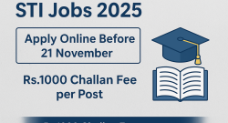 STI Jobs Application Process 2025 – Step-by-Step Guide